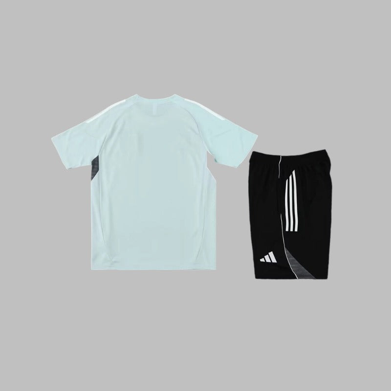 Ensemble Japon training