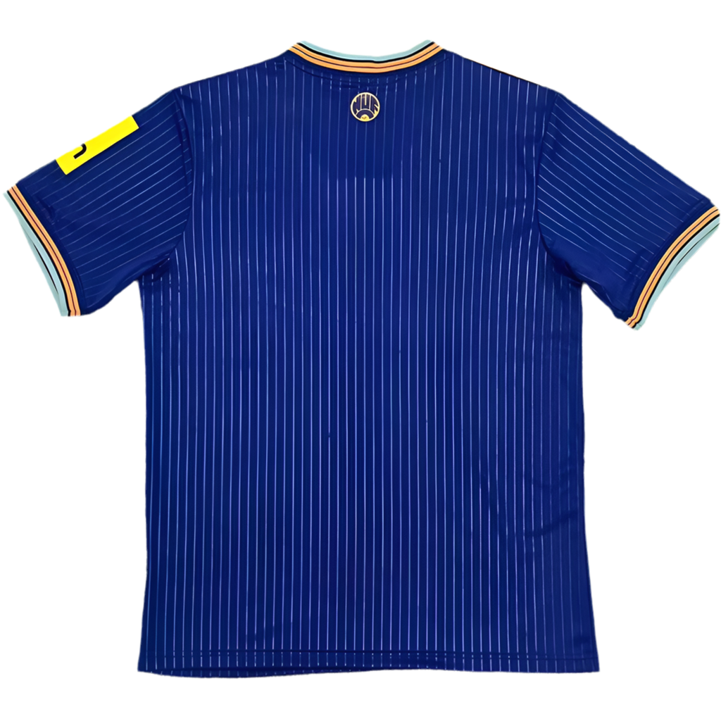 Maillot New Castle third 25/26
