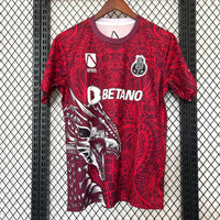Maillot FC Porto 25/26