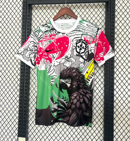 Maillot concept Brésil 25/26