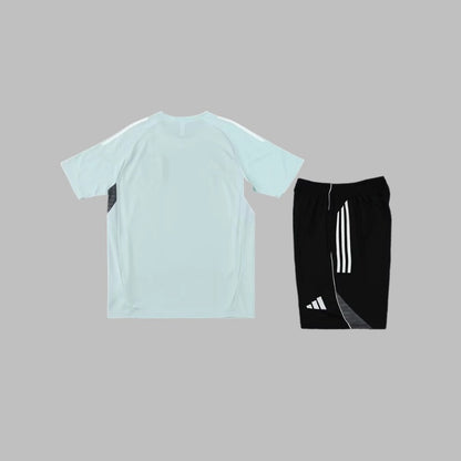 Ensemble Japon training