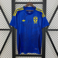 Special Brazil jersey 25/26