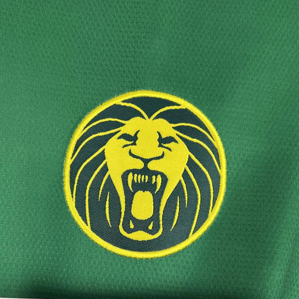 Maillot Cameroun domicile 25/26