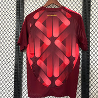 Germany 25/26 jersey