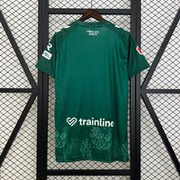 Real Betis concept jersey 25/26