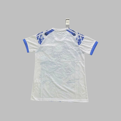 Maillot concept Japon 25/26