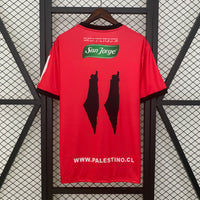 Palestine Jersey 25/26