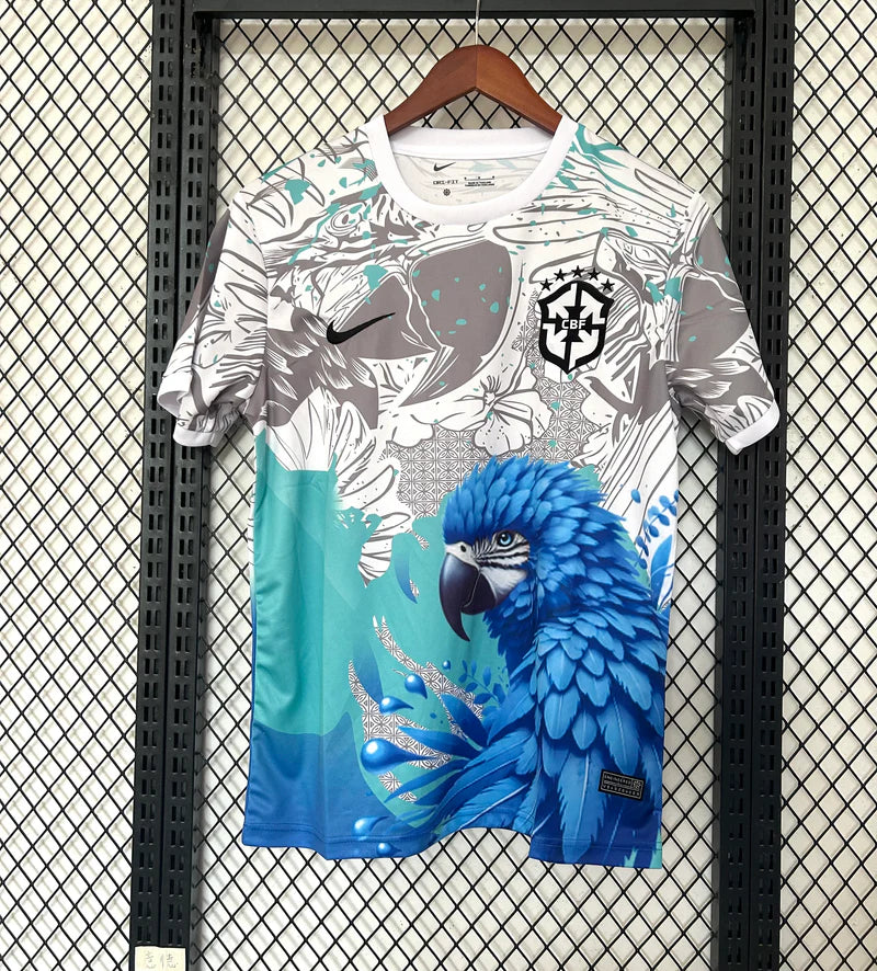 Brazil 25/26 Concept Jersey