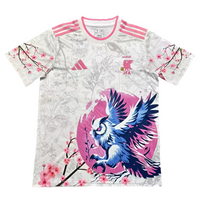 Maillot concept Japon 24/25
